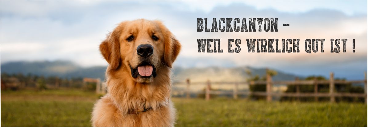 Banner-Hundefutter2