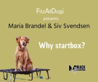 72997-STARTBOX 72997-STARTBOX