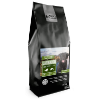 Labrador_14kg_facing_right-min_3051 Labrador_14kg_facing_right-min_3051