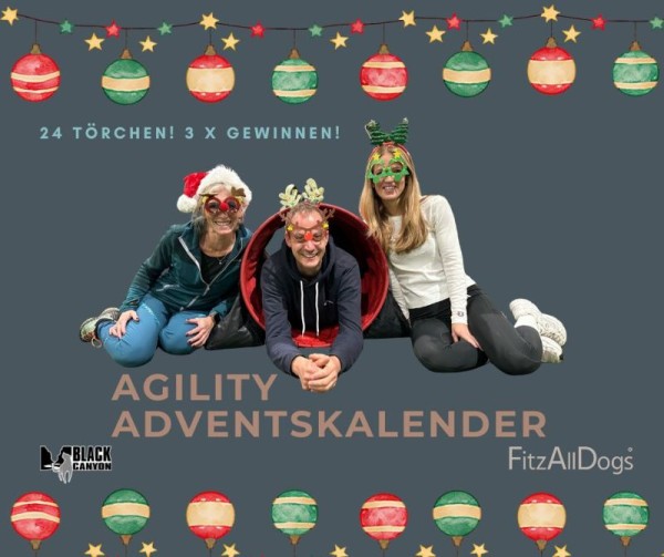 72997-AGIKALENDER
