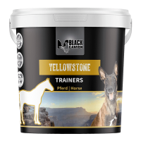 Yellowstone_600g-min_444 Yellowstone_600g-min_444