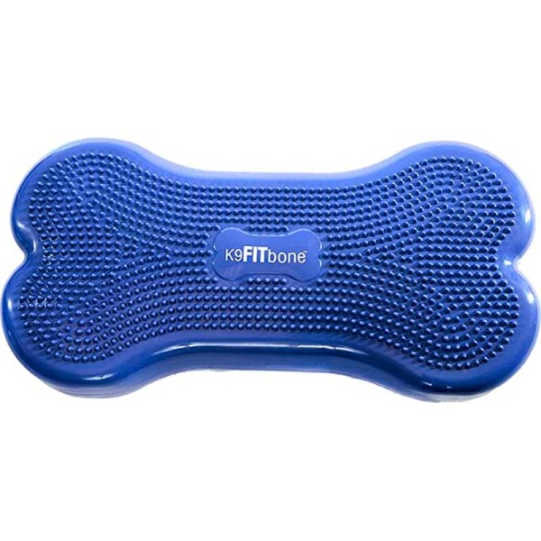 PP_K9-bone-blau_3469